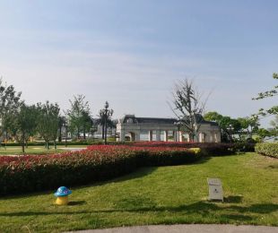 实景图