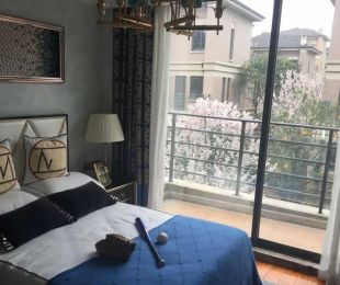 样板图