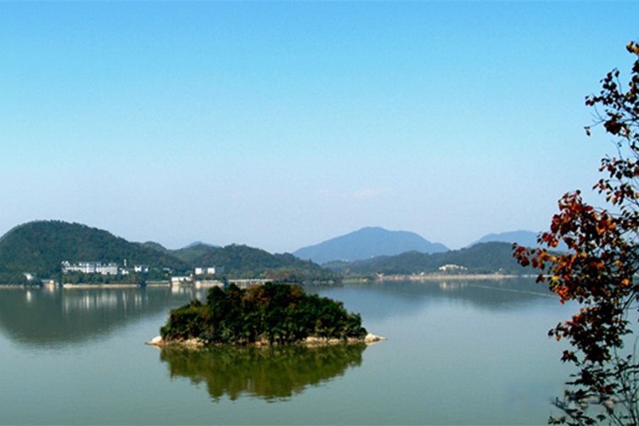 实景图