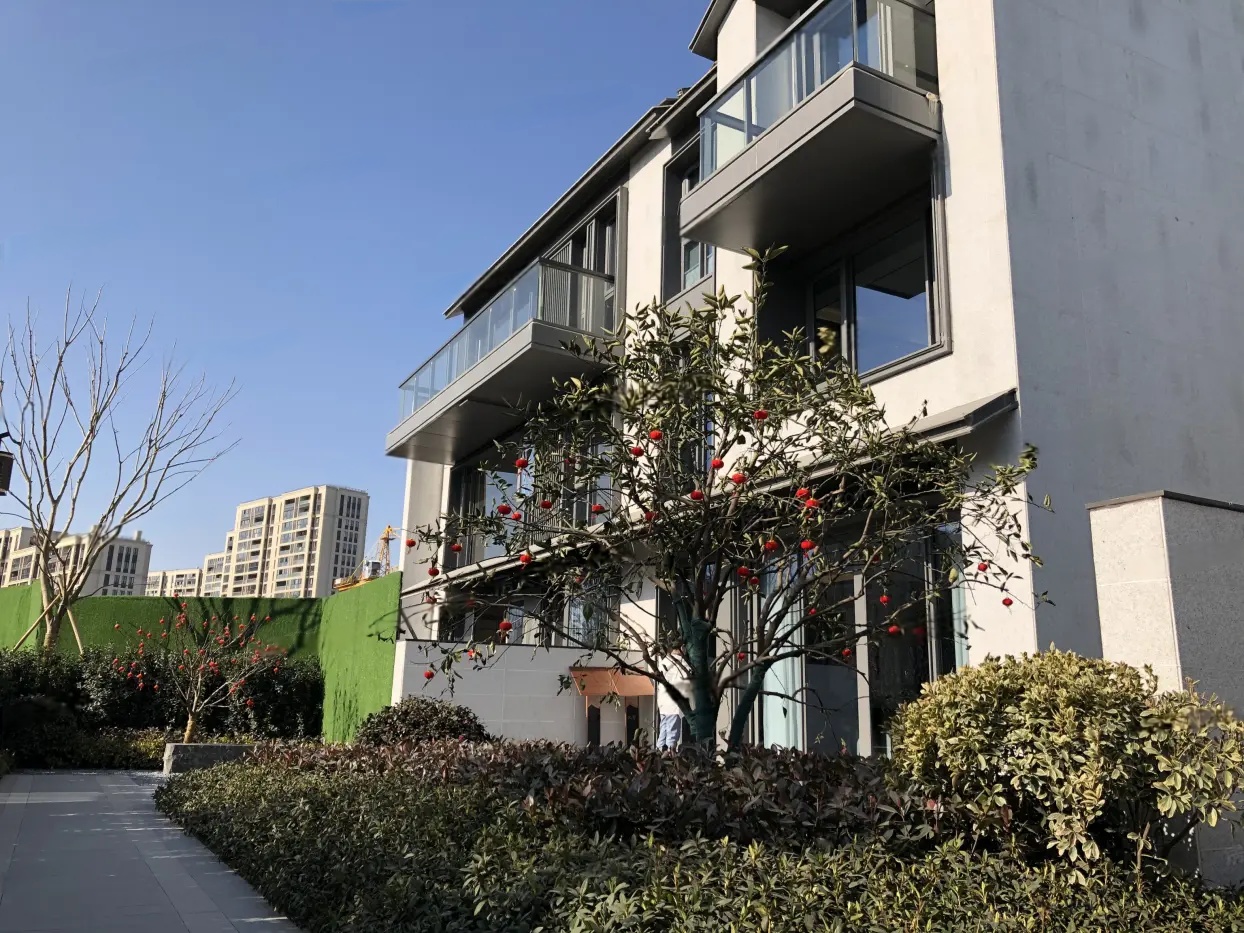 样板图