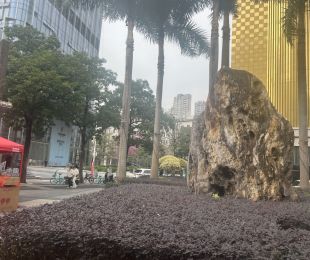 样板图